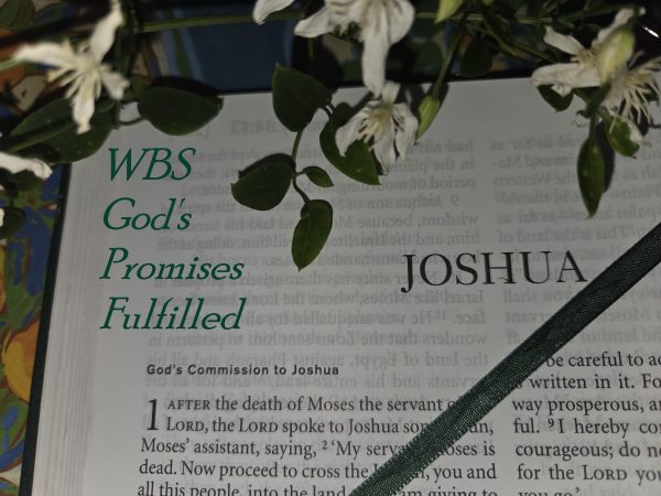 Lesson INTRO to Joshua with Norma Cox AUDIO Image