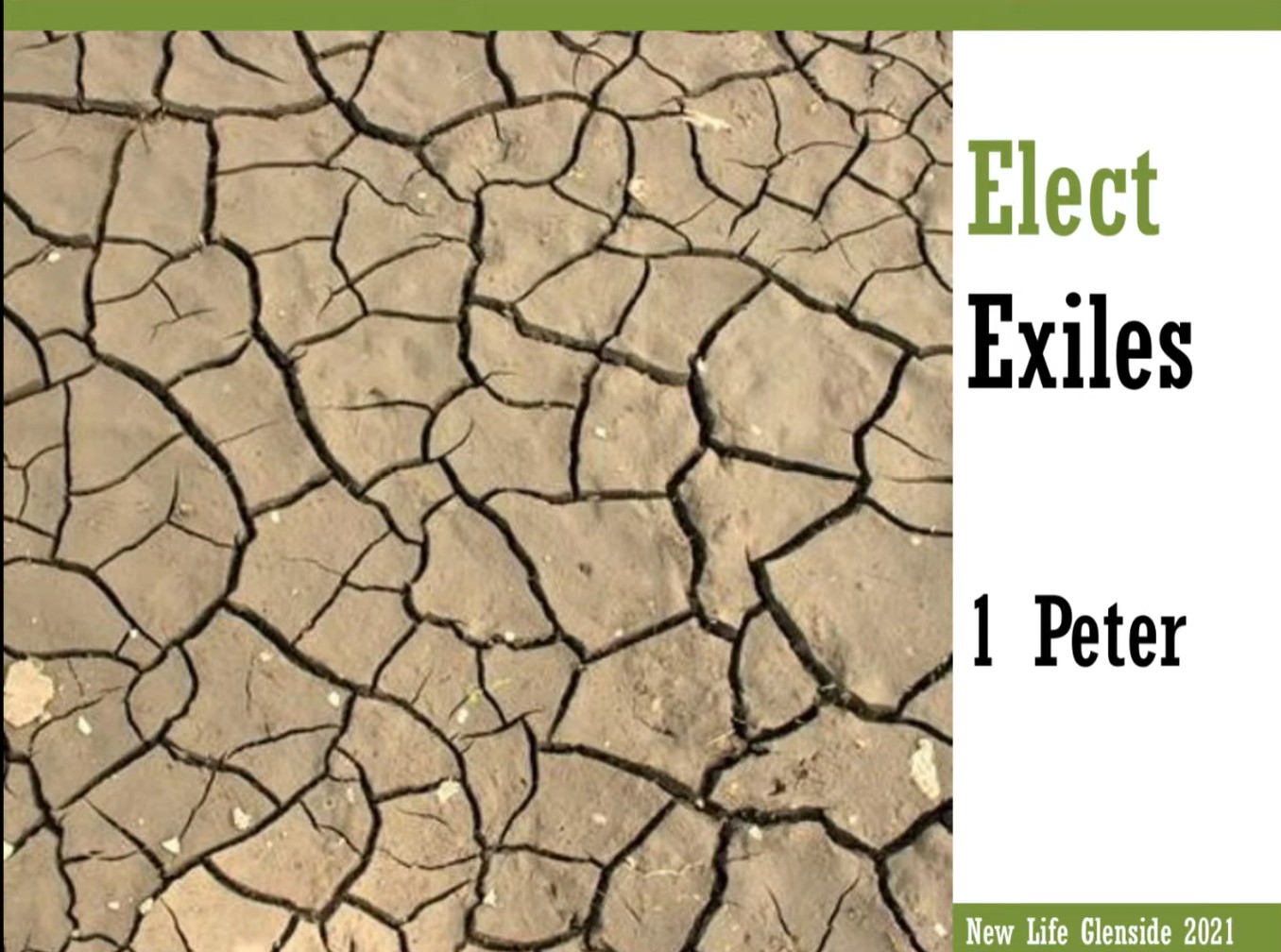 Peter's Education Image