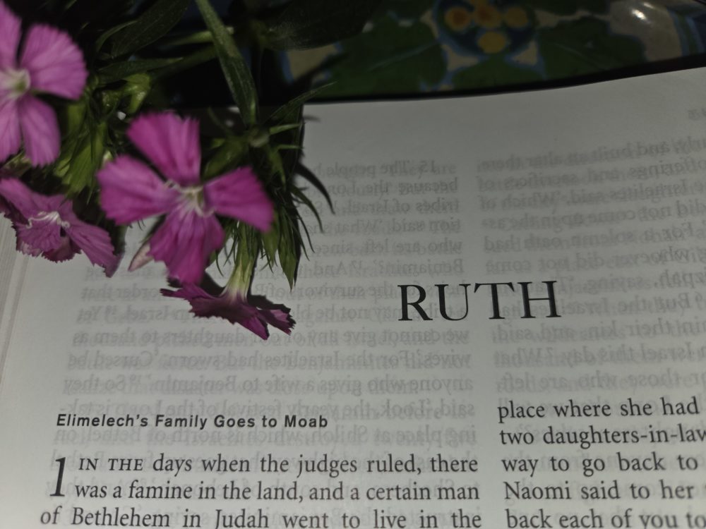 God's Promises Fulfilled: A Study of Joshua & Ruth 